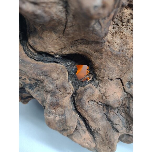 Vintage 11" Long MCM Large Orange Lucite Grape Cluster Burlwood Mid Century Mod - Picture 9 of 17